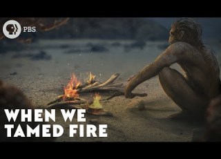 When We Tamed Fire