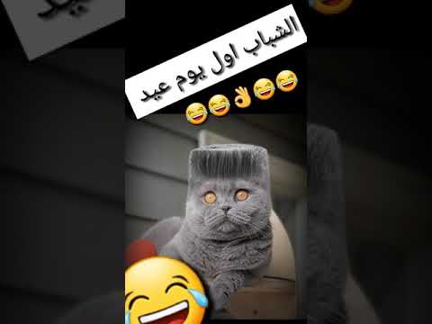 قريبا الشباب اول يوم عيد حالات واتس أب مضحكة عن العيد قريبا الشباب اول يوم عيد حالات واتس أب مضحكة عن العيد