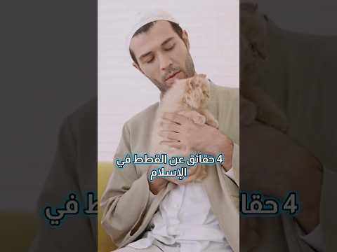 4 حقائق عن القطط في الإسلام