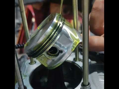 اهم شي في عمره الموتوسيكل بتاعك تقسيمة الشنبر