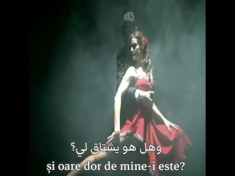 أغنية يوناني مكاباى أنجيلا ديمتريوس