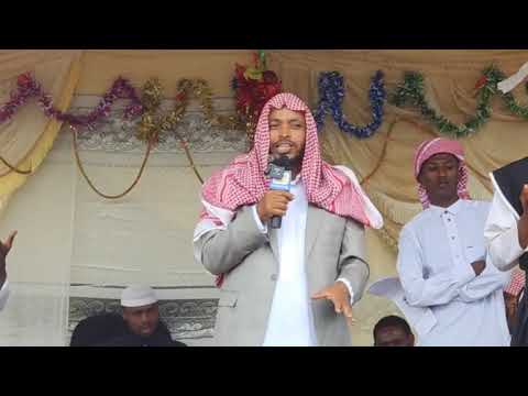 SHEIKH AHMED TOFIQ MAGAALA JAARSO TATAFFI ISAAN QARAATI KENNANIN BAKKA GUDDA KANNEEFFI