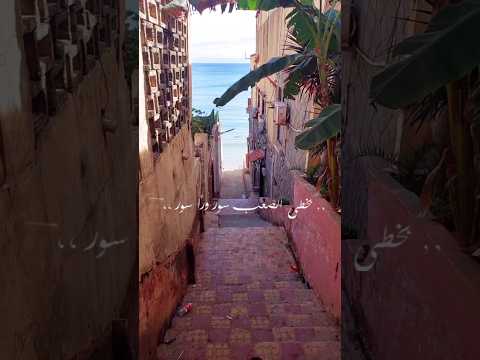 بخطي الصعب سور ورى سور بوسي Shortvideo بخطي الصعب سور ورى سور بوسي Shortvideo