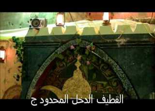  ميلاد ان الزكي ع 1432هجري مضيف اهل البيت ع