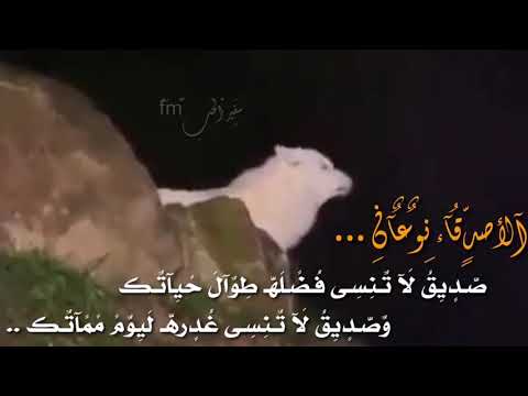 الصداقة نوعان محمودحجو سفيرالحب