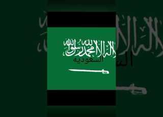  اكثر بلاد بتتفرج عليا جراجو Shorts