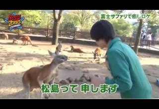 カンガルーと友達になれる松島聡 Sexyzone 松島聡