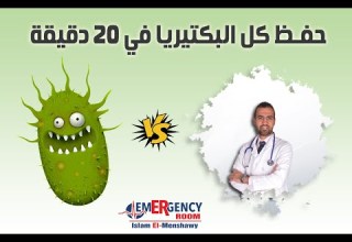 Classification Of Bacteria فهم كل البكتيريا في 20 دقيقة