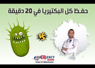 Classification Of Bacteria فهم كل البكتيريا في 20 دقيقة