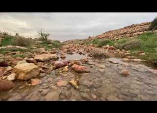 تعطر بريح المطر