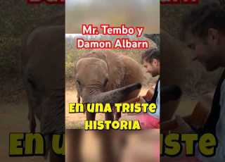  La Historia De Damon Albarn Y Mr Tembo