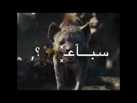 حاله واتس مهرجان غاب الاسد حمو الطيخا جامد