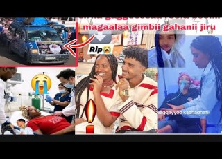  Sirna Gaggeessaa Reefa Boonii Magaalaa Gimbii Gahanii Jiru Biyyi Lafaa Haguma Kanaa