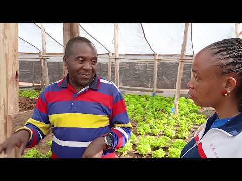 KILIMO CHA MBOGAMBOGA KINALIPA NILIAMUA KUFANYA TOFAUTI NA WENGINE MDENDEMI