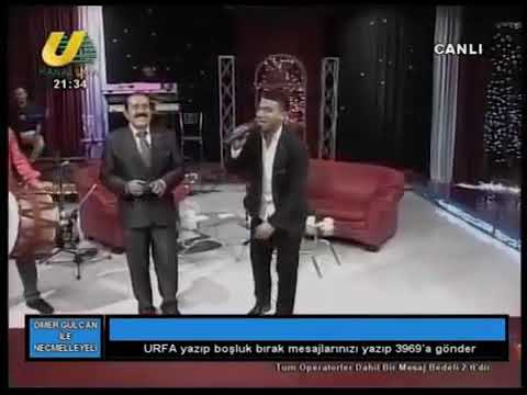 ياحمامه يابيضه