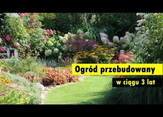 Rustykalny Trawiasty Ogród Przebudowany W Ciągu 3 Lat