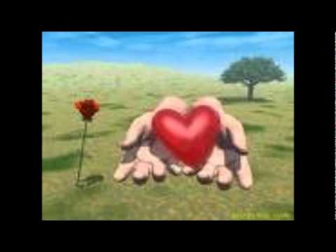 احلى كلمات شعر عادل محسن