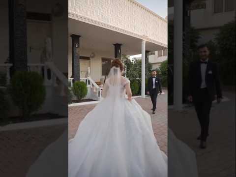 تركضلي تركضلي وفاتح ايدك اشتراك بالقناة لايك اكسبلور