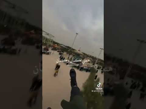 اغنيه اليسا هنعيش ونغني كمان وكمان سوريات بنات