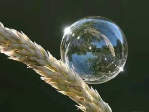 الأذان بصوت الشيخ ماهر المعيقلي أترك لكم التعليق