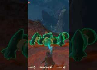  The PERFECT Korok Delivery Totk