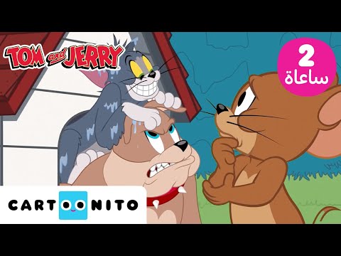 توم وجيري Tom Jerry ساعتان من أفضل لحظات توم وجيري كارتونيتو