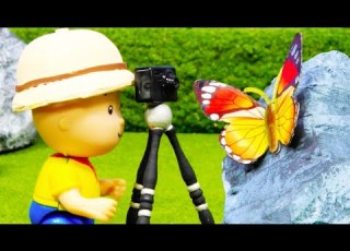  Caillou Photographs Butterflies Funny Animated Kids Show Caillou Stop Motion