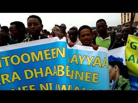 Godina Gujii Aanaa Uraagaatti Hiriirri Balaleeffannaa Juuntaafi Shanee Gaggeeffame Godina Gujii Aanaa Uraagaatti Hiriirri Balaleeffannaa Juuntaafi Shanee Gaggeeffame