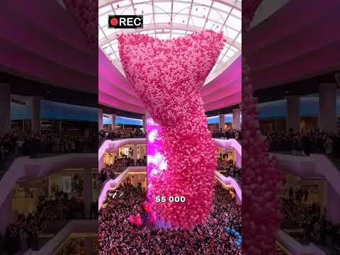 2024 Gada 16 Novembris