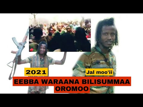 Waraana Bilisummaa Oromoo WBO Ebba Isaanii Bara 2021 Irratti