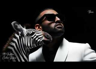  M Hustler Color Zebra Yara Extended Mix