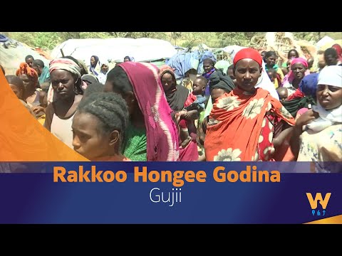 Rakkoo Hongee Godina Gujii