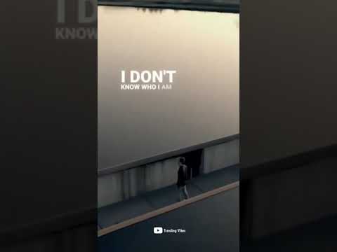 Alan Walker Sorona Lost Control