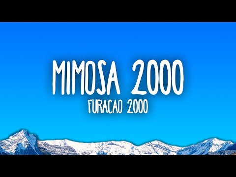 Furacão 2000 Mimosa 2000