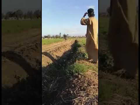 ابو خضره حسد حمدان وقعه في الترعه بالعجله ابو خضره حسد حمدان وقعه في الترعه بالعجله