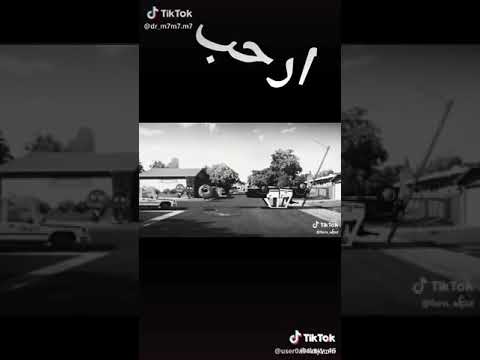 أغانيه شمامي شممي