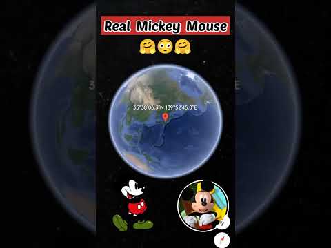 Real Mickey Mouse On Google Maps Earth Shorts