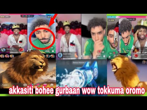 Seenaa Galmeesee Akasiti Gurbaa Bochiise Tokumani Oromo Congratulations Dani Pha