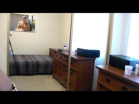 RENAI CIRUCALATION COVER