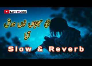 Nai Sajana Nu Hosh Aya Lamba Saroota Slow Reverb Sonia Khan Saraiki Saraikisongs2022 Lofi