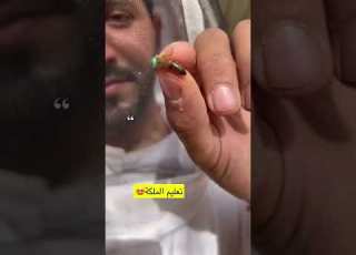  تعليم ملكة النحل