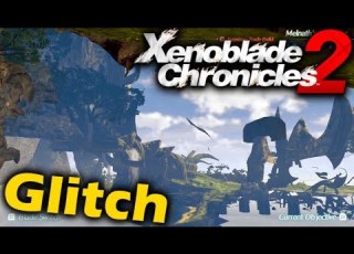  Camera Glitch Xenoblade Chronicles 2