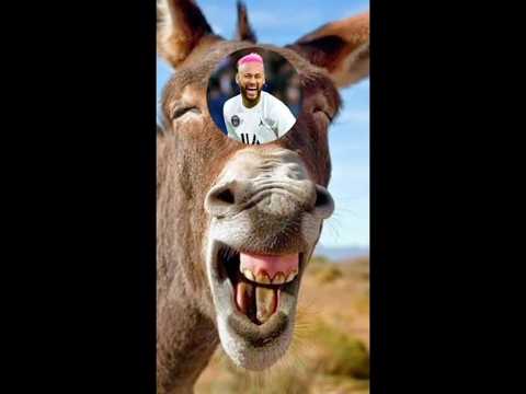 نيمار حمار اشترك في قناتي بليز Football Like Shortvideo Subscribe Shorts Short Naymar دحماني