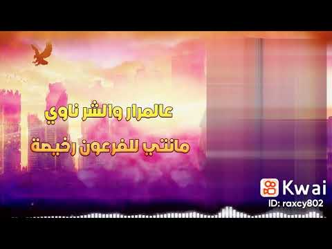 اغنية يا دنيا هاتى كمان هموم ارمى اوجاعك هاتيها