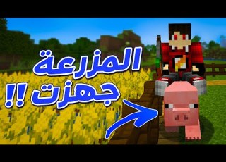  إ كرافت 30 اكبر مزرعة فى السيرفر