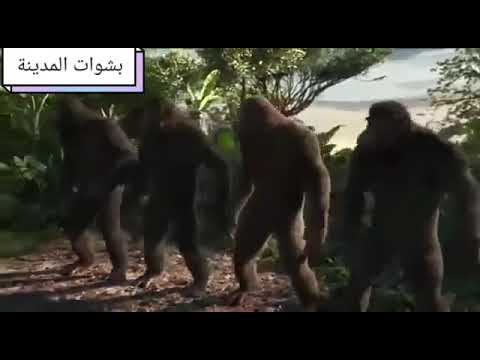 احنا ملوك النزاهة