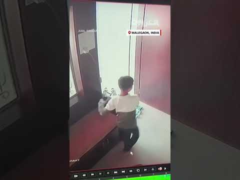 نمر يفاجئ طفل ا في الهند