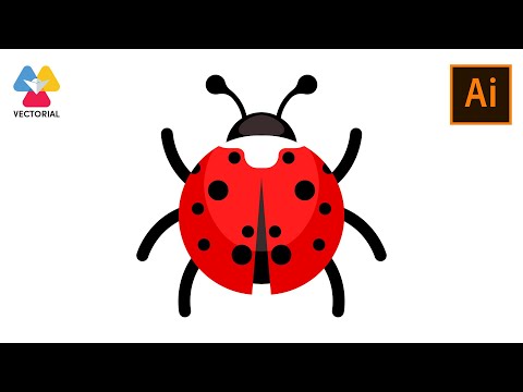 Ladybug Vector Tutorial In Adobe Illustrator