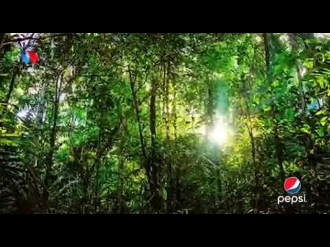 MSITU WA AMAZONI BRAZILI UJUE MSITU WENYE MAAJABU