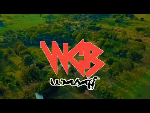 Diamond Platinumz Ft Lavalava Unanikumbuka